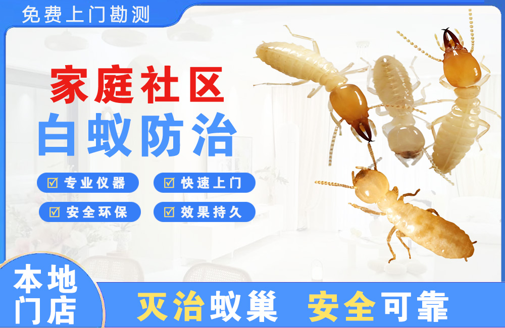 嘉善家庭社区白蚁防治