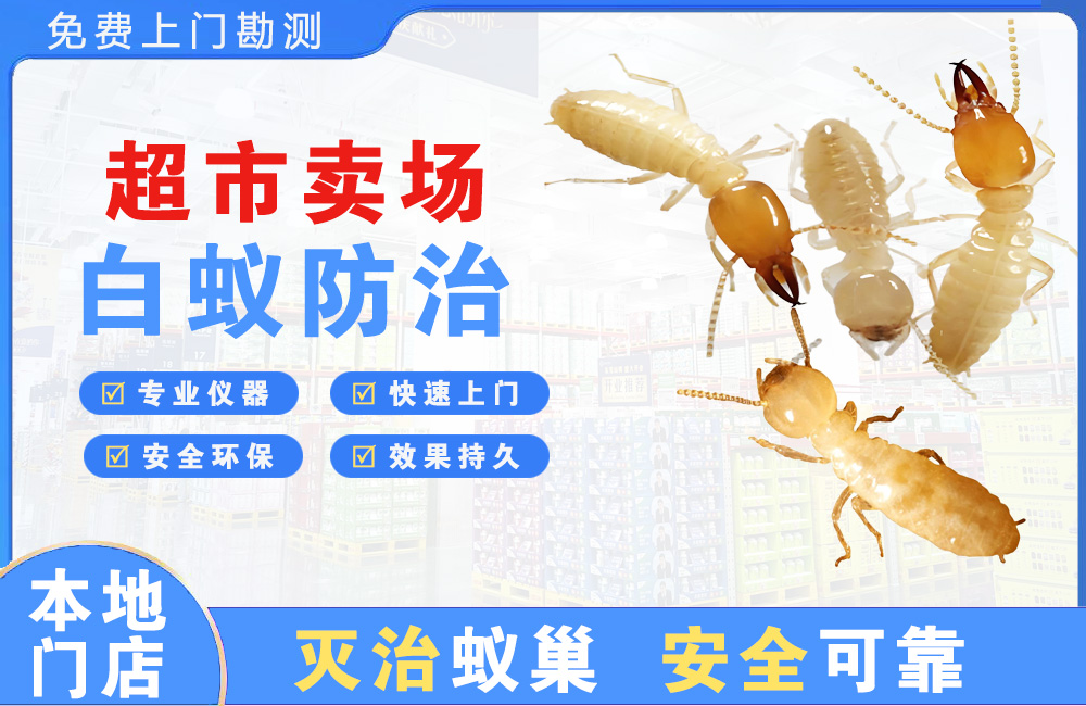 嘉善超市卖场白蚁防治