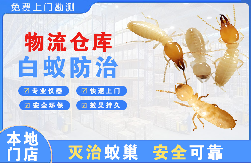 嘉善物流仓库白蚁防治