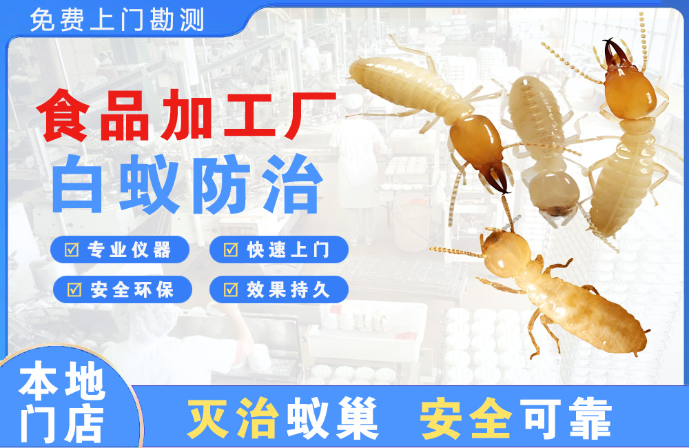 嘉善食品加工厂白蚁防治