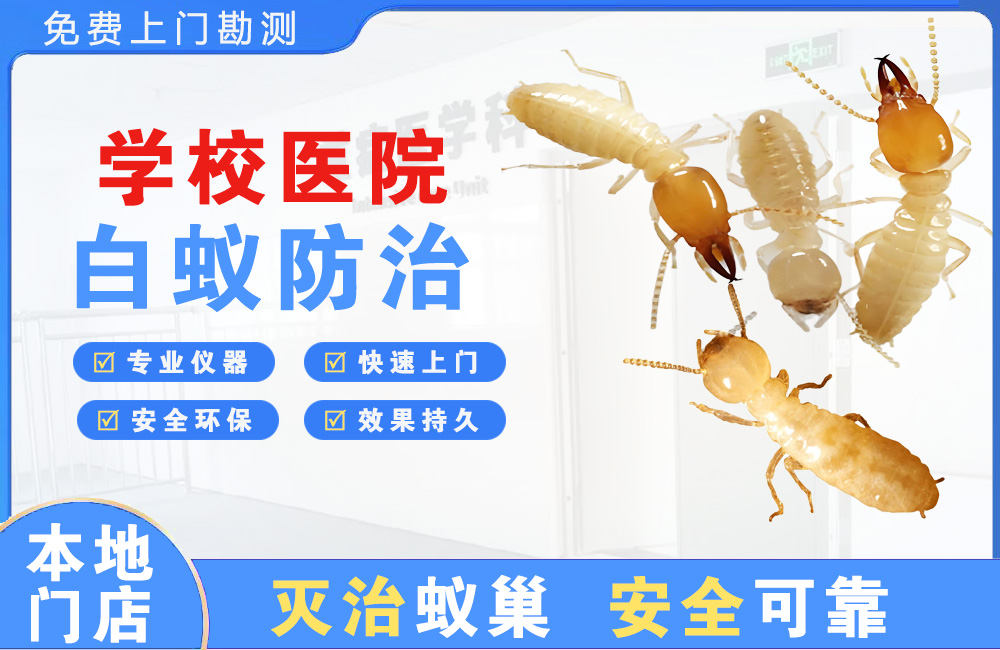 嘉善学校医院白蚁防治