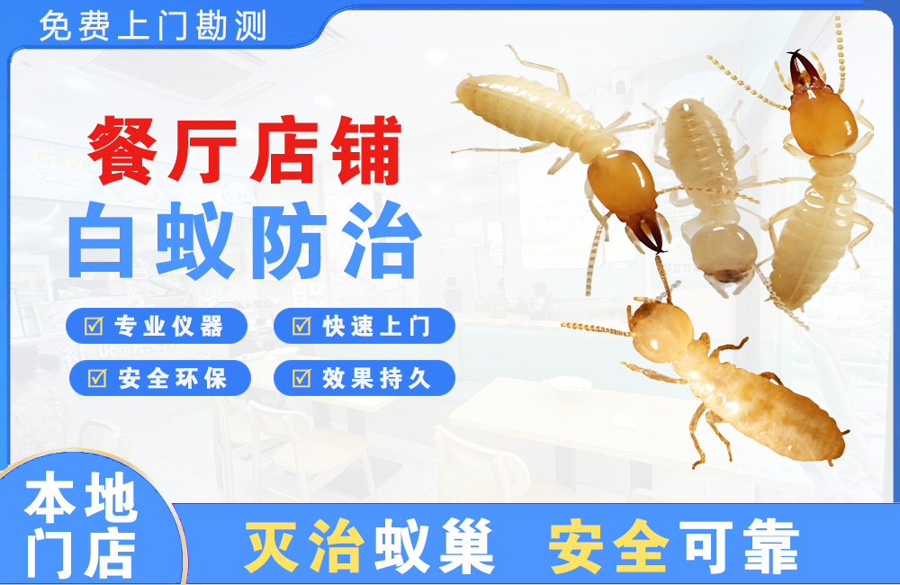 嘉善餐厅店铺白蚁防治